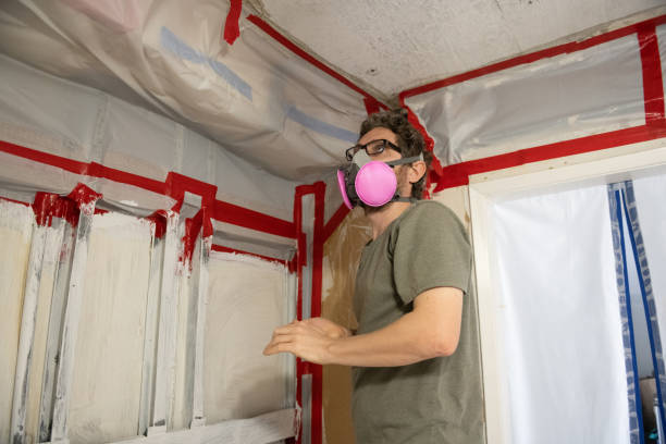 Mold Removal for HVAC Installations in Burnsville, MN