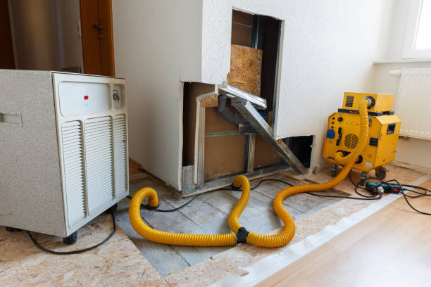 Best Mold Remediation for Vacation Homes  in Burnsville, MN